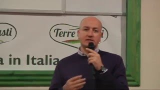 La Sentinella del Gusto: La Rivoluzione Agraria nella Coltivazione dell'Ulivo