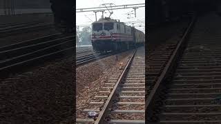 White thunder WAP5 #shorts #indianrailways #WAP5