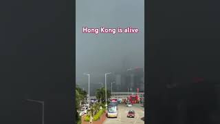 Hong Kong is alive #vlog