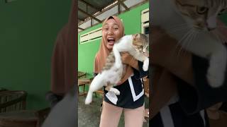 Keluar bayi kucing