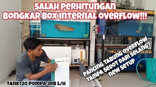 Settingan Tabung Overflow Terbaru. Sump Filter Tanpa Melubangi Kaca tank.