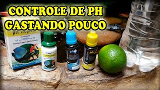 Como controlar o PH do lago ornamental gastando pouco - Dica de aquarismo