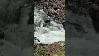 Sol Duc Salmon Cascades  Olympic National Park Washington