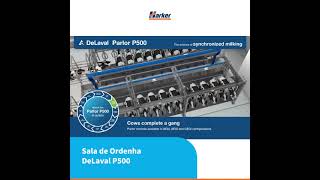 Sala de Ordenha DeLaval P500