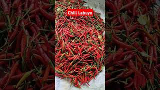 CHILI LABUYO