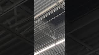 a bird inside a walmart