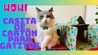 Como hacer una casa para gatitos con caja de cartón 🐈‍⬛