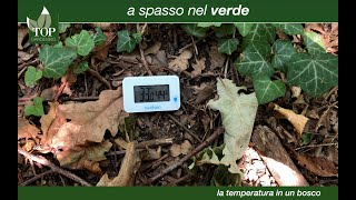 Come proteggersi dal caldo | topgardening