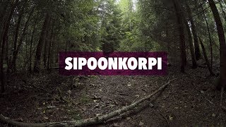 Päiväretki - Haahuilua Sipoonkorvessa, elokuu 2017