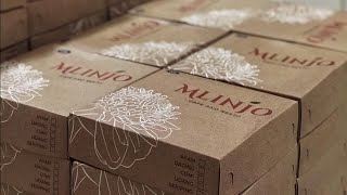 Maksi Kuliner Produk Mlinjo Cafe n Resto