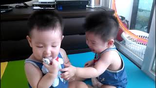 The twins grab the pacifier, little one failed, angry and sad, crying messed up