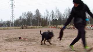 Beauceron Ikra: foundations for tight turns