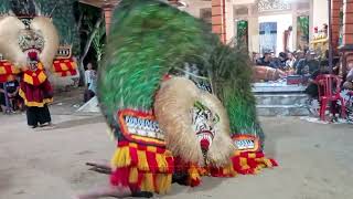 SOLAH PEMBARONG DADAK MERAK BESAR REOG PONOROGO ASLI BULU LOR #dadakmerak #reogponorogo