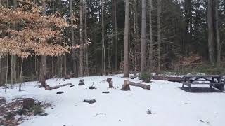 Elmer Spring Campsite at Charles Baker State Forest