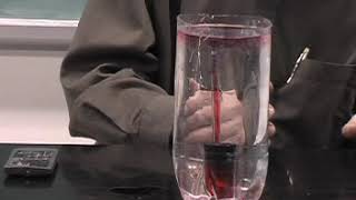 Convection Currents in Water