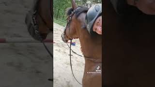 Verlasspferd ohne Ende! *Traumpferd durch TrickyHorse Training*