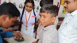 Pravalika name on leaf How to do leaf cutting art step by step #leafart #art #trending #vairalvideo