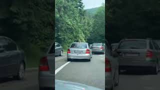 Un urs a fost lovit cu o sticlă, de un bărbat care se afla într-o mașină, Transfagarasan