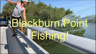 BlackBurn Point fishing