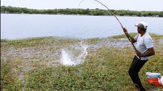 Indian Fishing And 🎣 SINGLE HOOK BiG ROHU Fishes Fisher man Catching In Krishna River