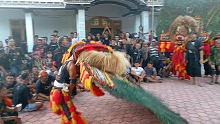 SOLAH PEMBARONG REOG PONOROGO DADAK MERAK SINGO LUDHO LELONO KREBET JAMBON#dadakmerak