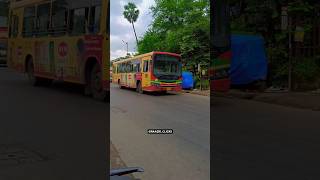 BEST TATA MARCPOLO BS6 MUT Bus #viralshort #bestbus #mumbaibestbuses #mumbai #ytshorts