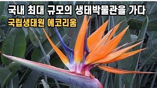 국내 최대 규모의 생태박물관을 가다