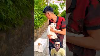 ADEK KUCING TINGGAL SENDIRIAN ⁉️ #cat #catlover #kucing #funny #dubbing #shorts