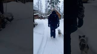 Отдых на Кардоне #shorts #short #shortvideo #урал #аргази