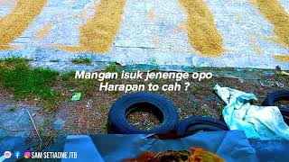 story WA Mangan isuk jenenge opo Harapan to cah