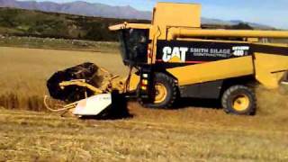 Cat 480 Smith Silage