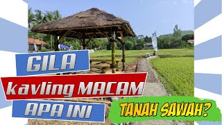 Review Properti yang lagi Hits: HARMONI FARM VILLE - Tanah Kavling Sawah di Bogor Timur