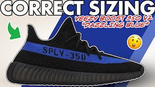 Sizing Guide for Yeezy 350 v2 Dazzling Blue (2022) - Watch before ordering the Yeezy Dazzling Blue