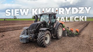 🇵🇱SIEW KUKURYDZY NA GPS'e 2023! GR Małecki ☆ Valtra T194 & Amazone ED 6000-2C Super ☆ AW ™