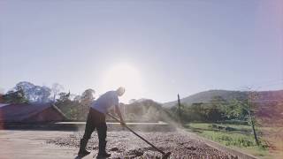 EcoMúsica | Sabiá | Isidoro Chocolate