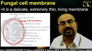 Cell structure of  Fungi with Gujarati narration