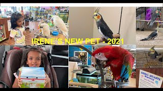 Irenes New Pet | Cute looking Cockatiel with orange cheeks | Animal Atlanta | Georgia | Irene Baby