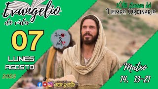 Mateo 14, 13-21 (Amor y Vida)