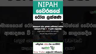 NIPAH | නිපා වෛරසය |Covid 19 වලට වඩා භයානක Nipah වෛරසය | MLTAnushika Perera #nipahvirus #nipah#නිපා3