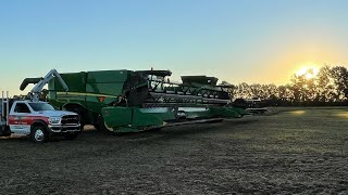 Record yields on the start of harvest 2021