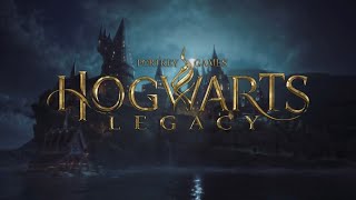 Hogwarts legacy!!  what path will we take!!!