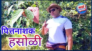 ही फळे खा पित्त घालावा / Dr Swagat Todkar Pitt upay | स्वागत तोडकर घरगुती उपाय