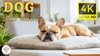 MUSIC TO RELAX YOUR DOGS 💖 Soothing Music For Your Baby Pets Calming Sleep Music