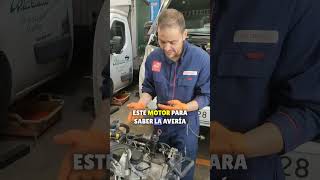 reparamos un motor de una furgoneta de la marca fiat con motor iveco