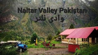 Naltar Valley Gilgit Pakistan/ وادی نلتر