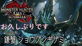 ショウグンキザミ　久々登場！　マジ楽しい　【モンハンサンブレイク】part5