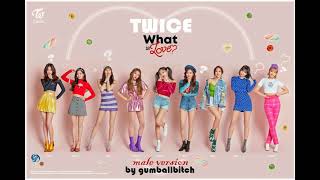 TWICE - What is Love (male version)