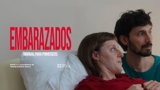 Embarazados | Parte 3 - La ecografía de translucencia nucal