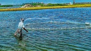 CAST NET FISHING //AMAZING FISHING SKILLS