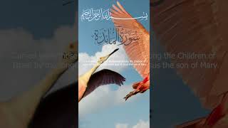 Surah Al-Ma'idah Mishary bin Rashid Alafasy I Ayah 77-78